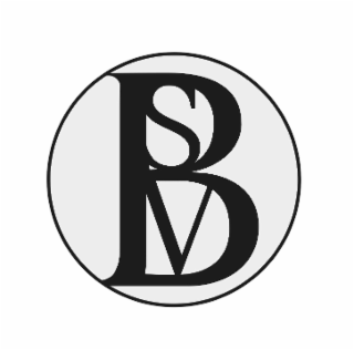 BSV logo