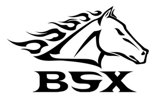 BSX logo