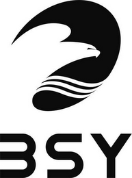 BSY logo