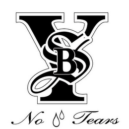 BSY NO TEARS logo
