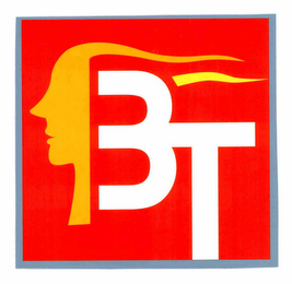 BT logo