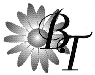 BT logo