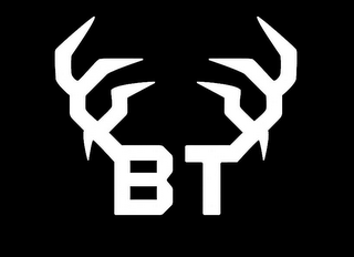 BT logo