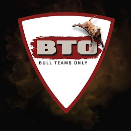 BTO BULL TEAMS ONLY logo