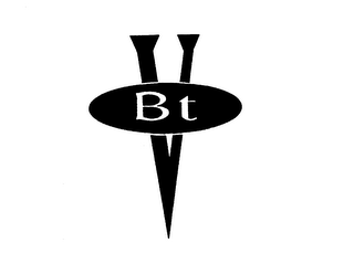 BTV logo