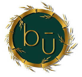 BU logo