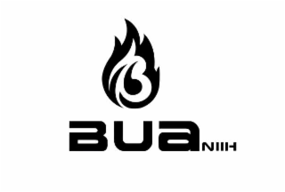BUANIIH logo