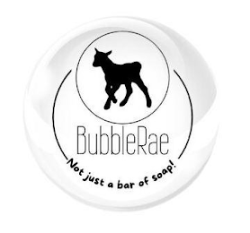 BUBBLERAE NOT JUST A BAR OF SOAP! logo