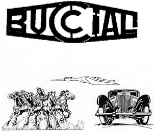 BUCCIALI logo