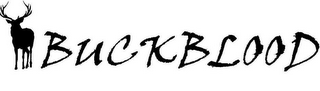 BUCK BLOOD logo