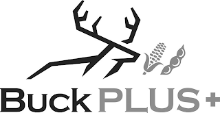 BUCK PLUS + logo