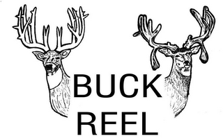 BUCK REEL logo