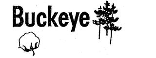 BUCKEYE logo