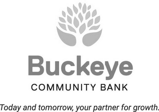 BUCKEYE COMMUNITY BANK TODAY AND TOMORROW, YOUR PARTNER FOR GROWTH logo