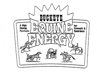 BUCKEYE EQUINE ENERGY A HIGH ENERGY FORMULA FOR STRENGTH & ENDURANCE logo