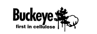 BUCKEYE FIRST IN CELLULOSE logo