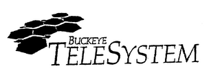 BUCKEYE TELESYSTEM logo