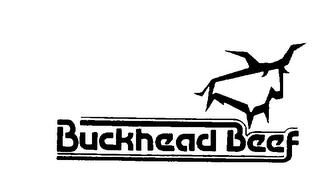 BUCKHEAD BEEF logo