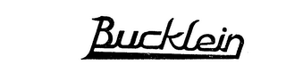 BUCKLEIN logo