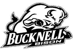 BUCKNELL BISON