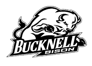 BUCKNELL BISON