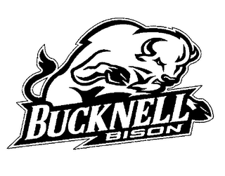 BUCKNELL BISON logo