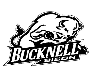 BUCKNELL BISON