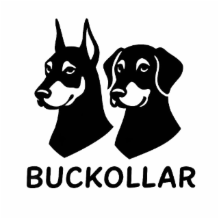 BUCKOLLAR logo