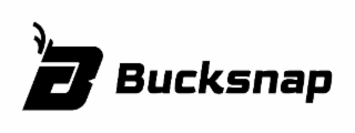 BUCKSNAP logo
