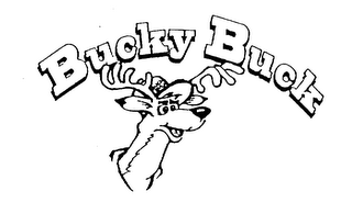 BUCKY BUCK logo