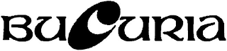 BUCURIA logo