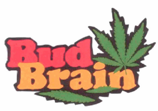 BUD BRAIN logo