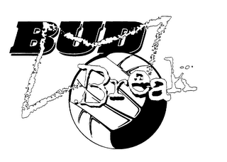 BUD BREAK logo