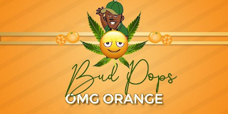 BUD POPS OMG ORANGE logo