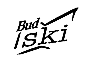 BUD SKI logo