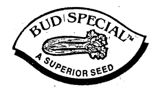 BUD SPECIAL A SUPERIOR SEED