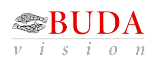 BUDA VISION logo