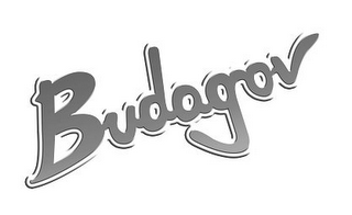 BUDAGOV logo