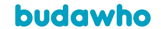 BUDAWHO logo