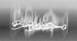 BUDDHA VOICE BROADCASTING ALLIANCE logo
