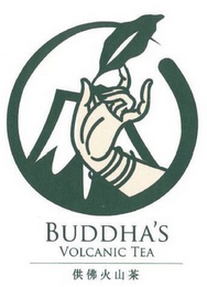 BUDDHA'S VOLCANIC TEA logo