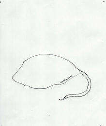 BUDDIECOVER logo
