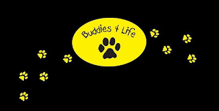BUDDIES 4 LIFE logo