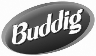 BUDDIG logo