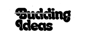 BUDDING IDEAS logo