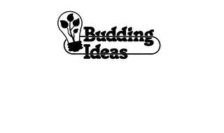 BUDDING IDEAS logo