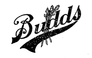 BUDDS logo