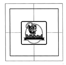 BUDDY SQUIRREL logo