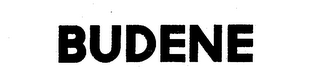 BUDENE logo