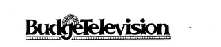 BUDGETELEVISION logo